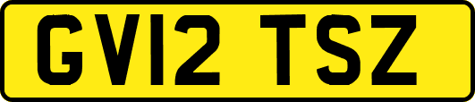 GV12TSZ