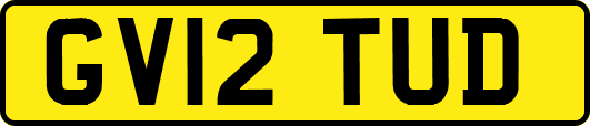 GV12TUD