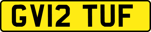 GV12TUF