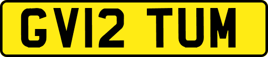 GV12TUM