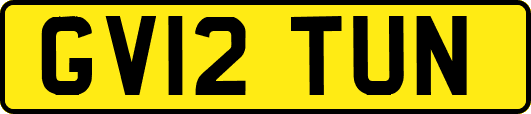 GV12TUN