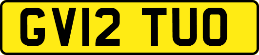 GV12TUO