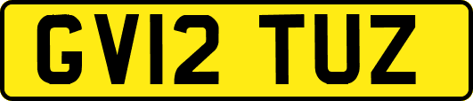 GV12TUZ