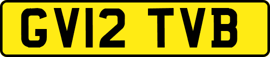 GV12TVB