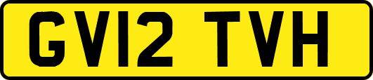 GV12TVH