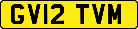 GV12TVM