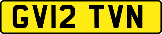 GV12TVN