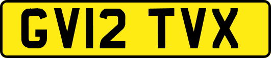 GV12TVX