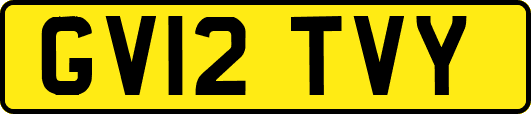 GV12TVY