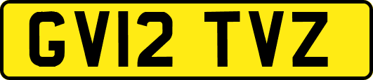 GV12TVZ