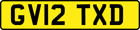 GV12TXD