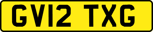 GV12TXG