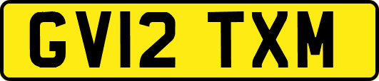 GV12TXM