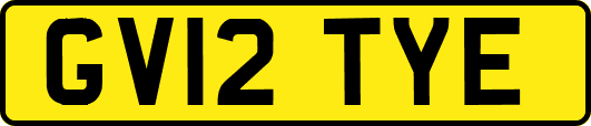 GV12TYE