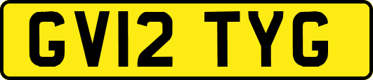 GV12TYG