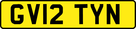 GV12TYN