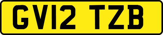 GV12TZB