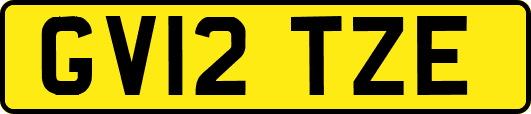 GV12TZE