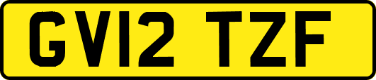 GV12TZF