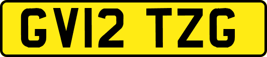 GV12TZG