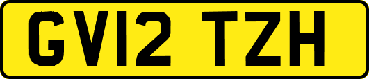 GV12TZH