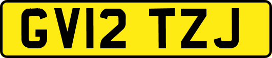GV12TZJ
