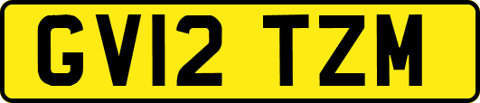 GV12TZM