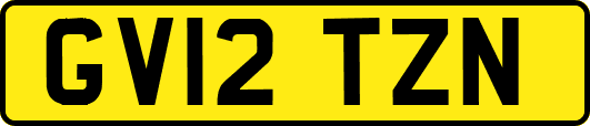 GV12TZN