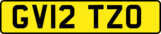 GV12TZO