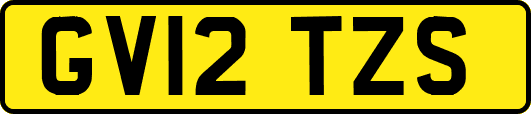GV12TZS