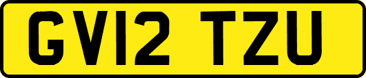 GV12TZU