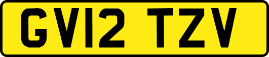 GV12TZV