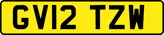 GV12TZW