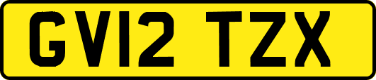 GV12TZX