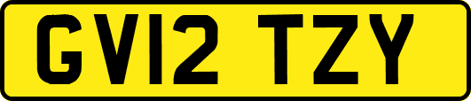 GV12TZY