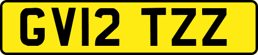 GV12TZZ