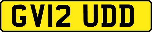 GV12UDD