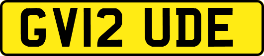 GV12UDE