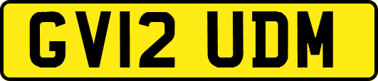 GV12UDM