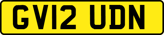 GV12UDN