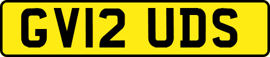 GV12UDS