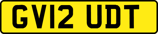GV12UDT
