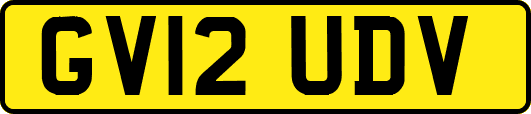 GV12UDV