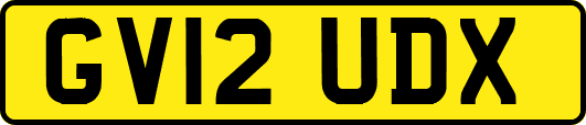 GV12UDX