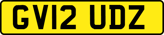 GV12UDZ