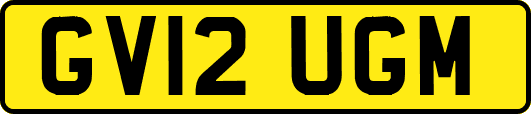 GV12UGM