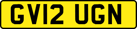 GV12UGN