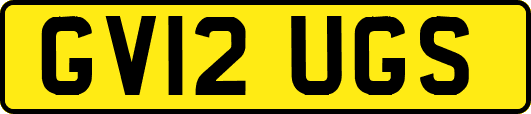 GV12UGS