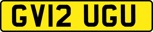 GV12UGU