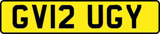 GV12UGY